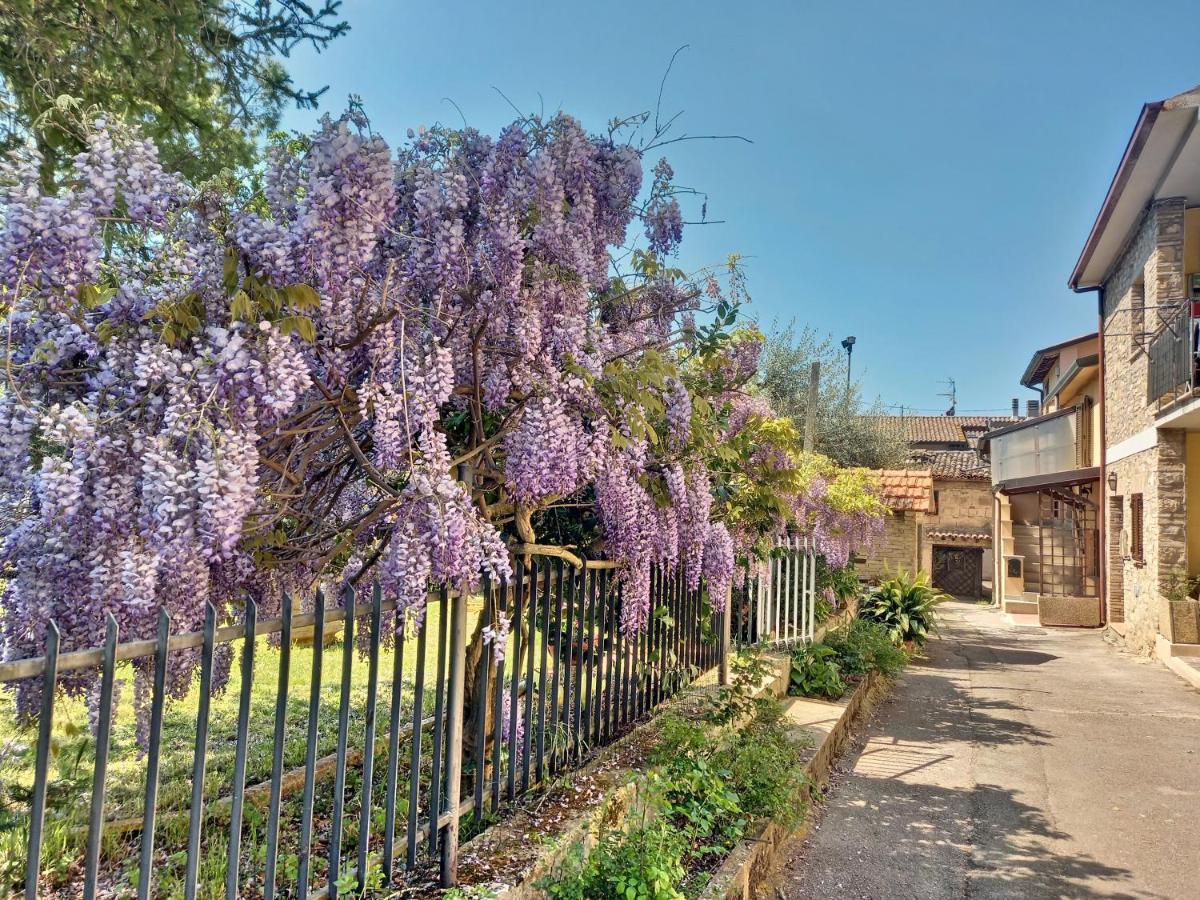 B&B Torrematta Ассизи Экстерьер фото