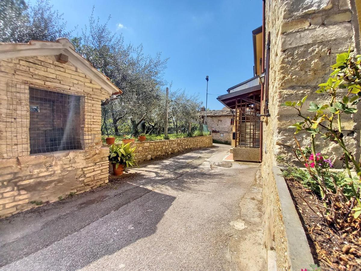 B&B Torrematta Ассизи Экстерьер фото