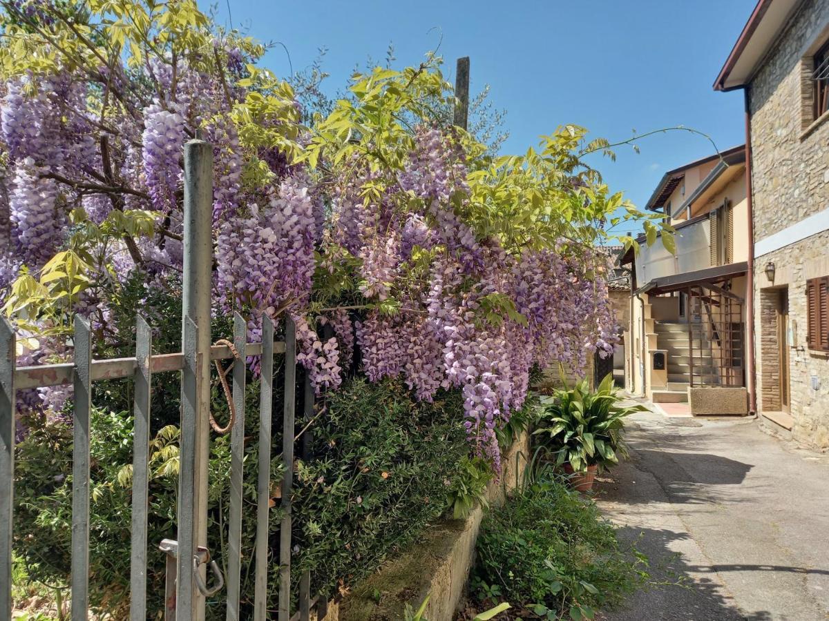 B&B Torrematta Ассизи Экстерьер фото