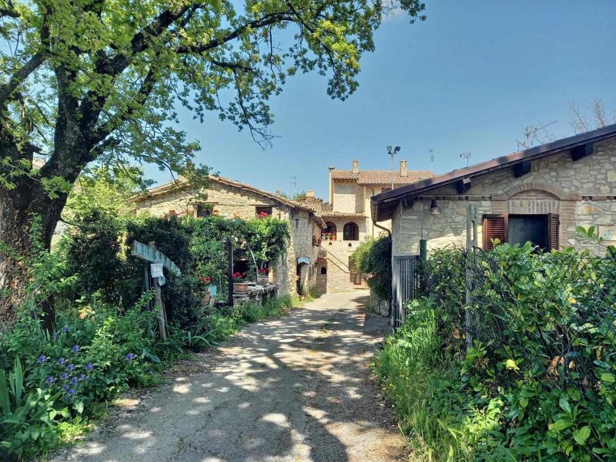 B&B Torrematta Ассизи Экстерьер фото
